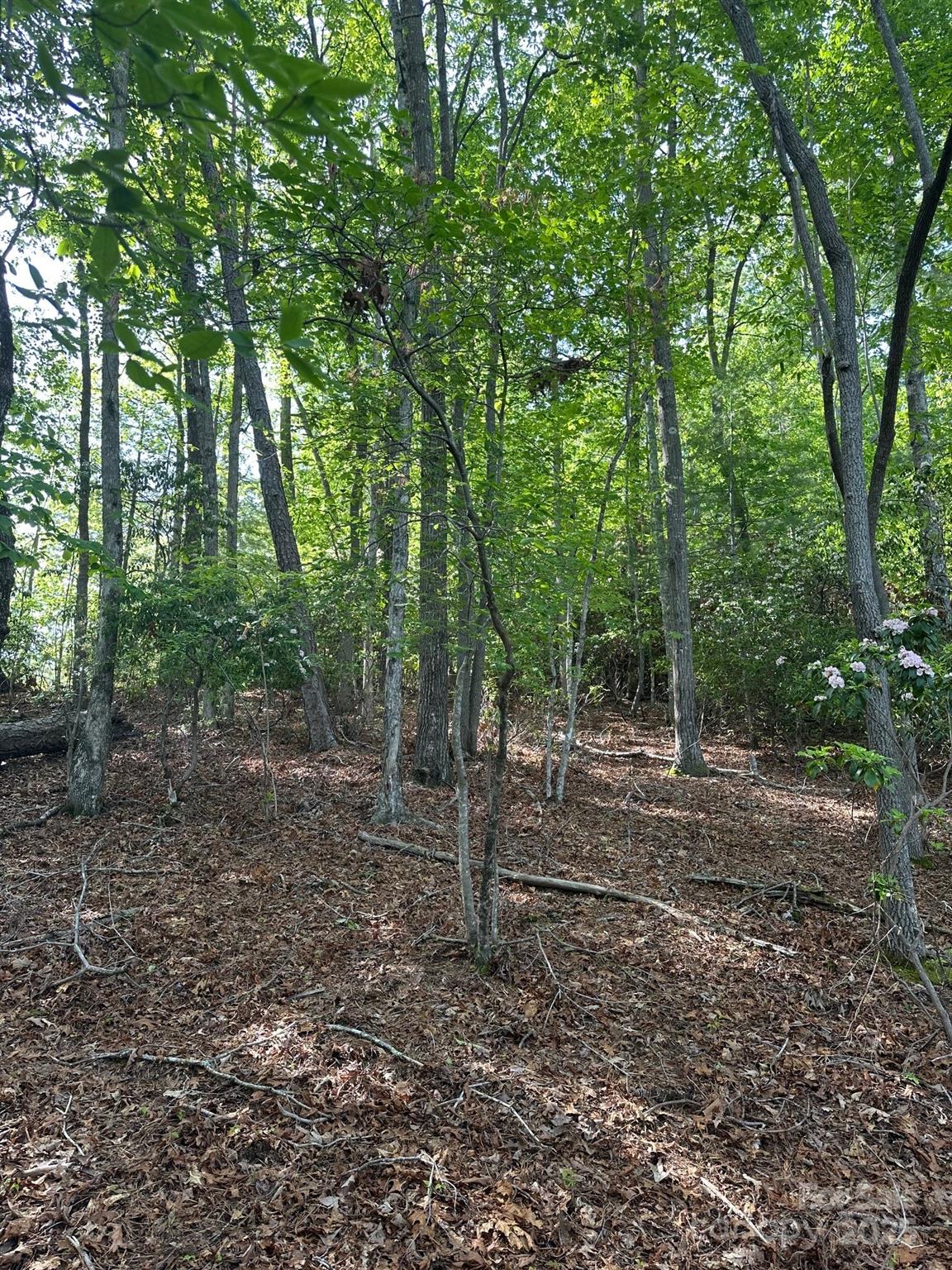 Golf Mountain Estates - Land