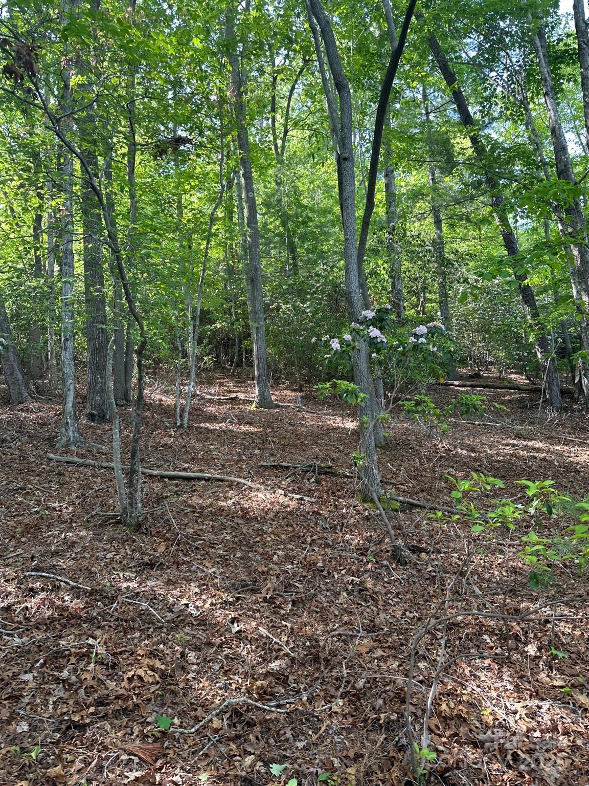 Golf Mountain Estates - Land