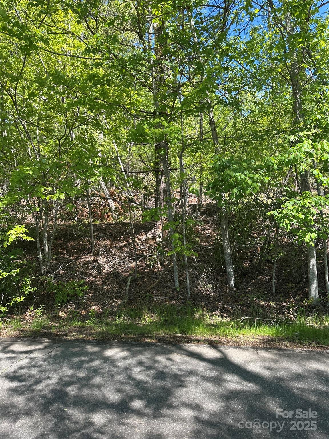 Golf Mountain Estates - Land