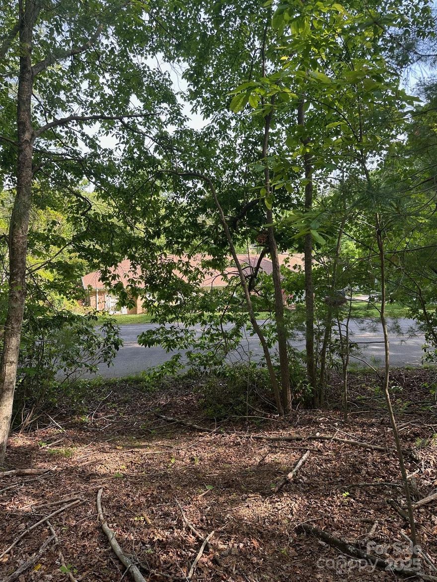 This is your opportunity to own one of the last building sites in Golf Mountain Estates, a community nestled in the tranquil embrace of the mountains. Residents enjoy waking up to the long range mountain views in this established neighborhood. This moderately sloping lot is both private and peaceful and features an abundance of hardwoods and mountain foliage. This homesite has quality community road access and close to the wonderful Etowah Valley  Golf Club and Resort. This lot is centrally located to Brevard, Pisgah Forest, Hendersonville, and South Asheville. Come see today.