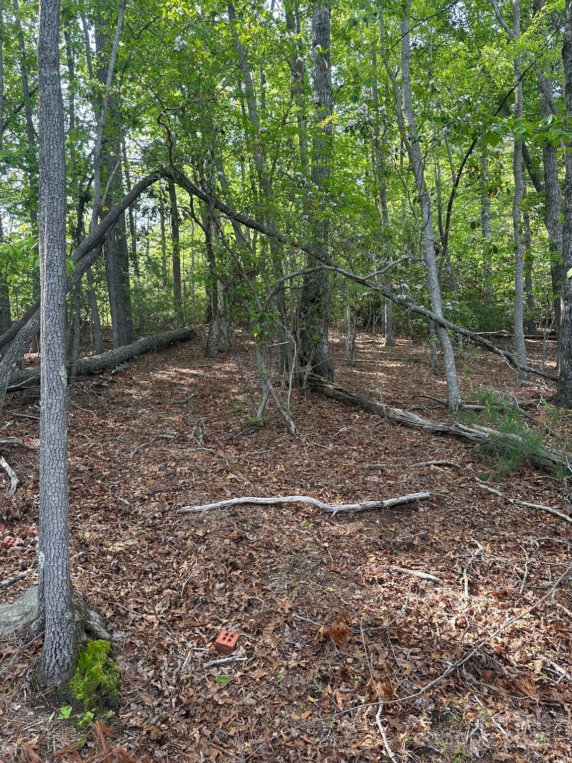 Golf Mountain Estates - Land