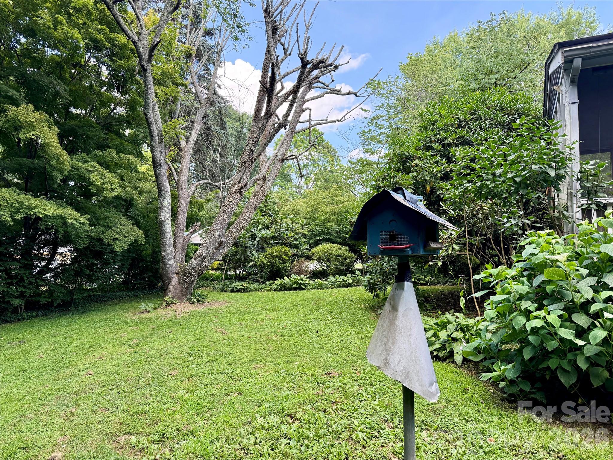 5 Dewberry Drive