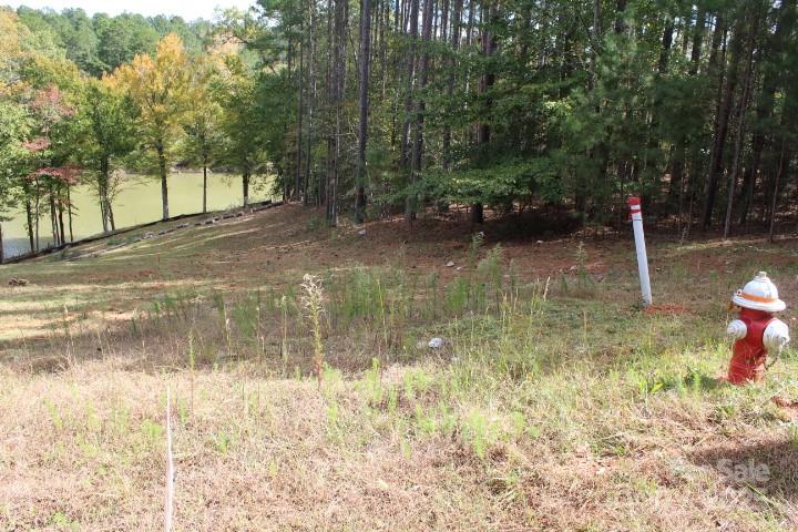 Hayes Mill Landing - Land