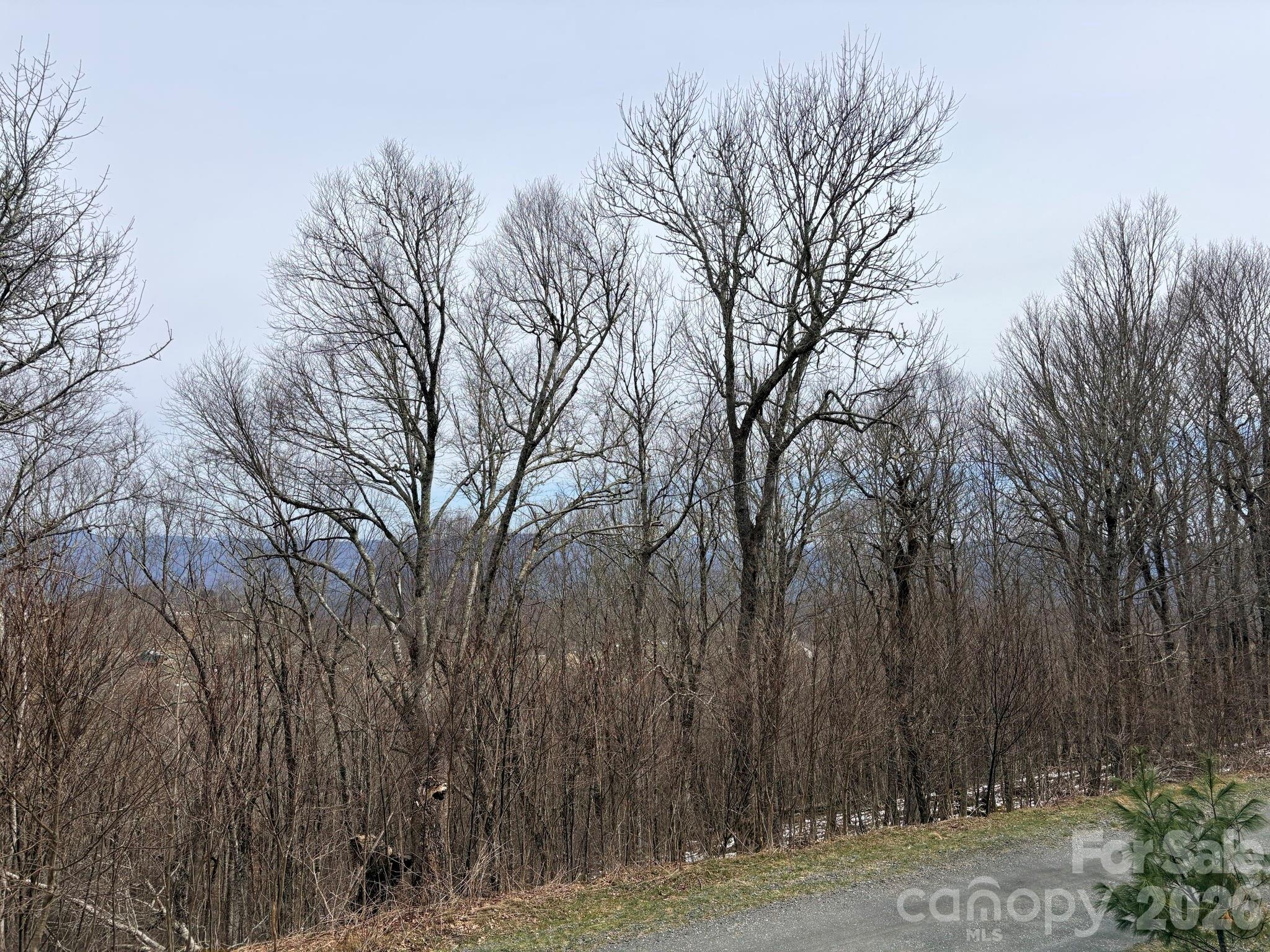 Chappell Farms - Land