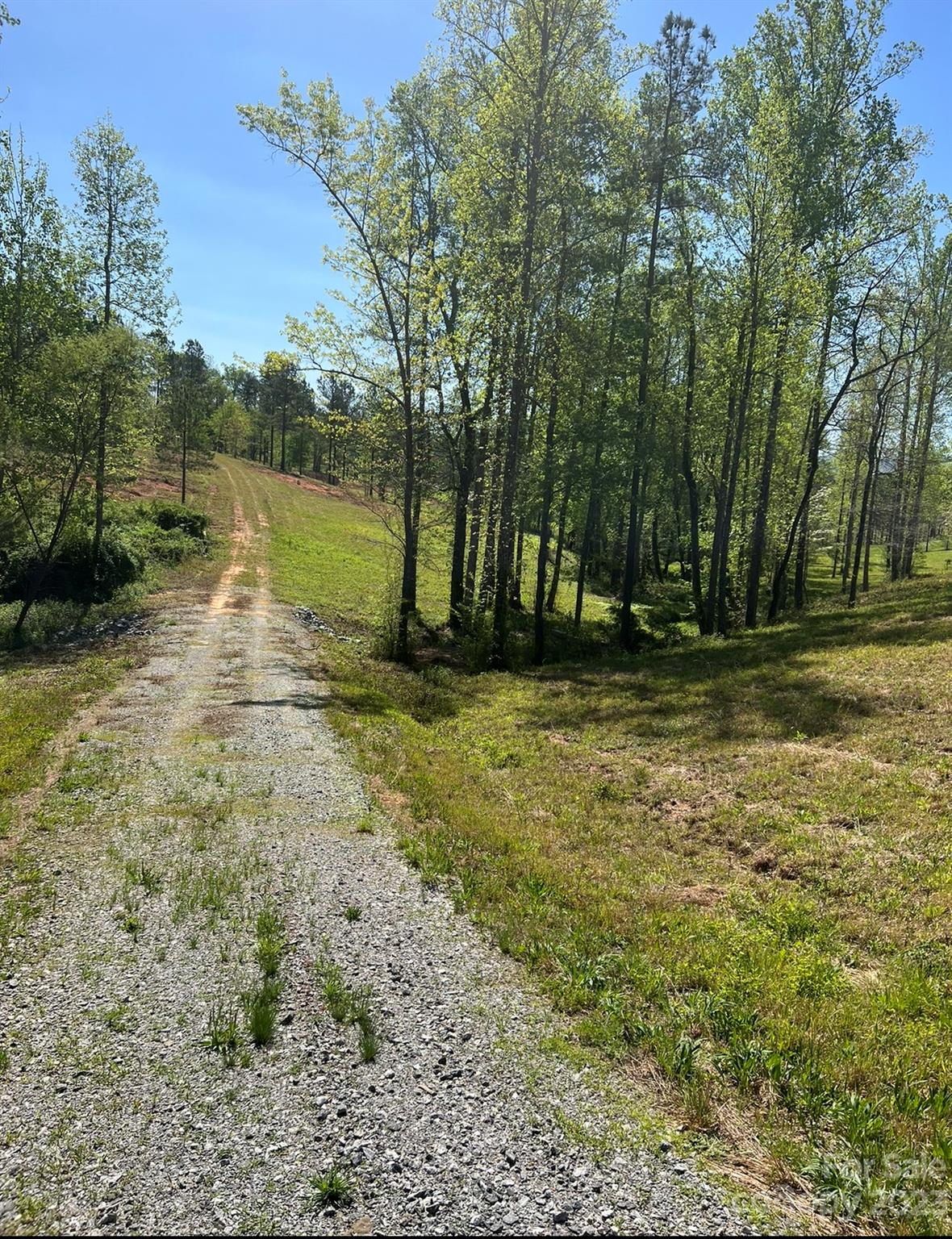 Silver Creek Plantation - Land