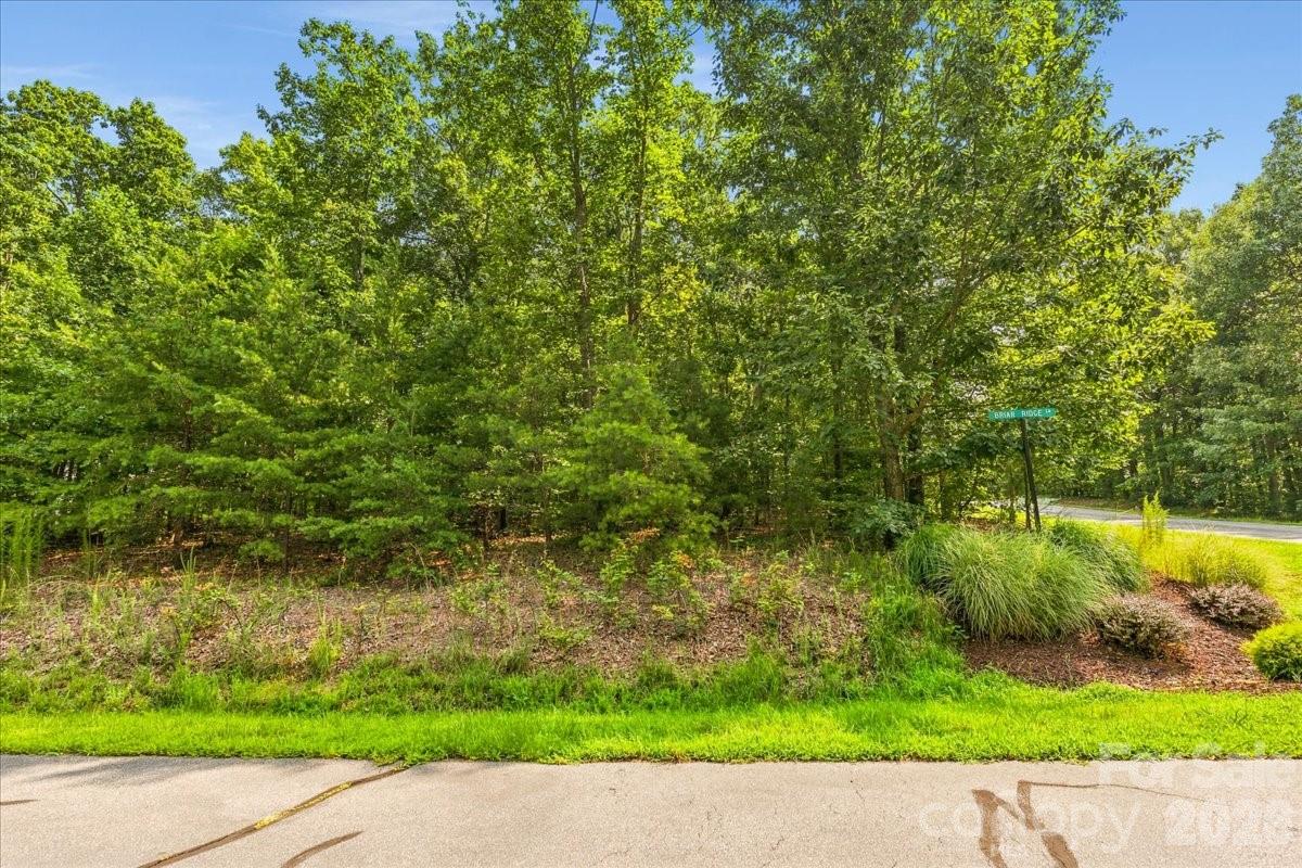149 Mossy Oak Trail 167