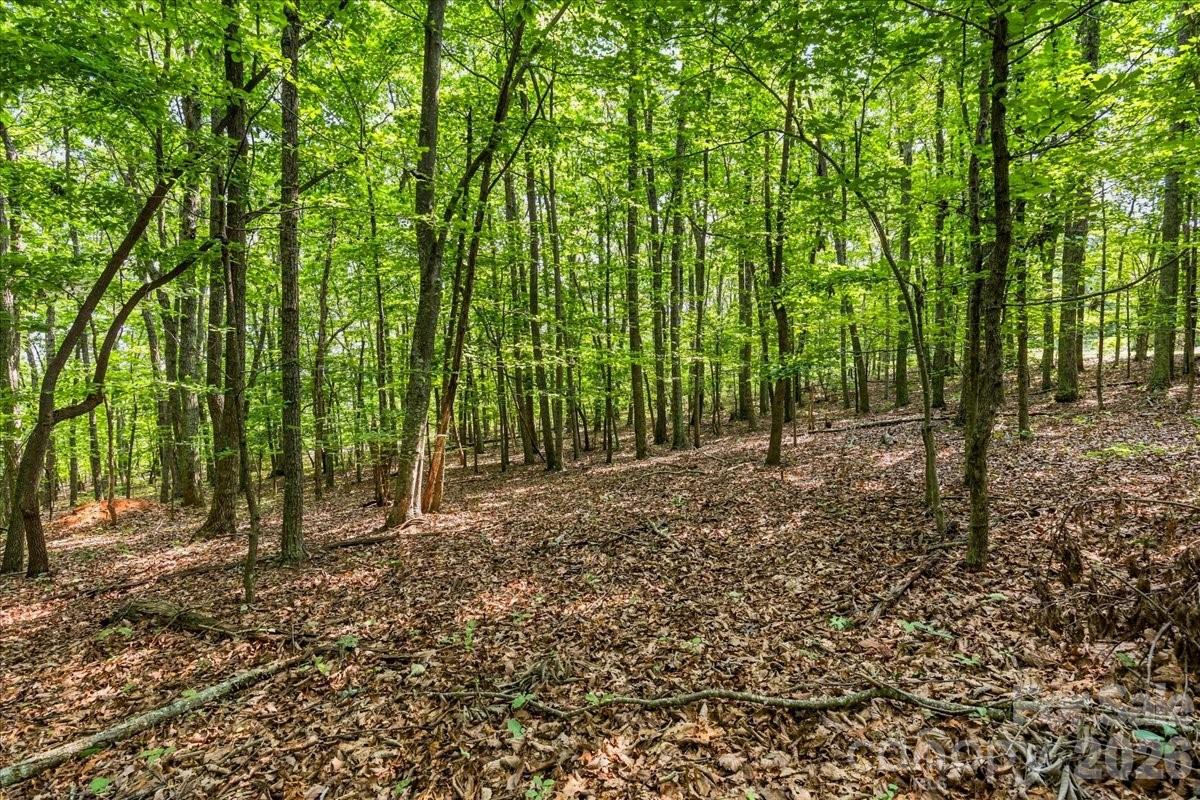 149 Mossy Oak Trail 167