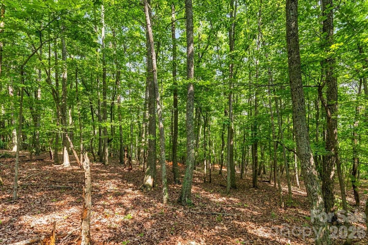 149 Mossy Oak Trail 167