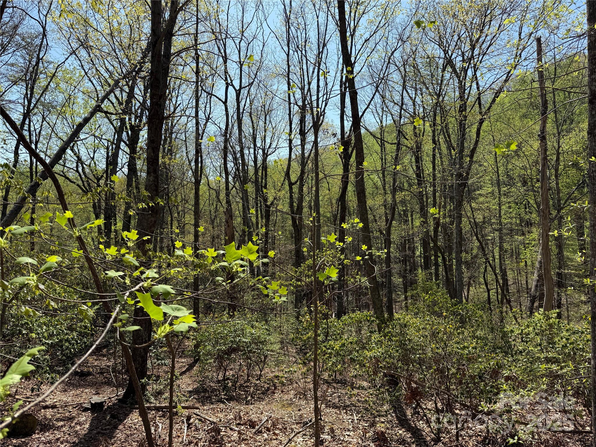 Cliffs Valley - Land