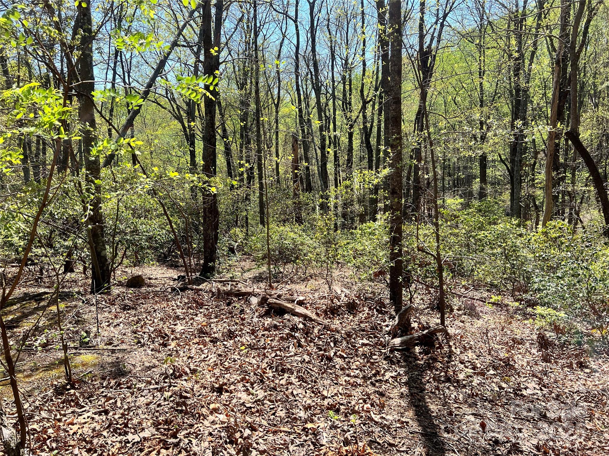 Cliffs Valley - Land