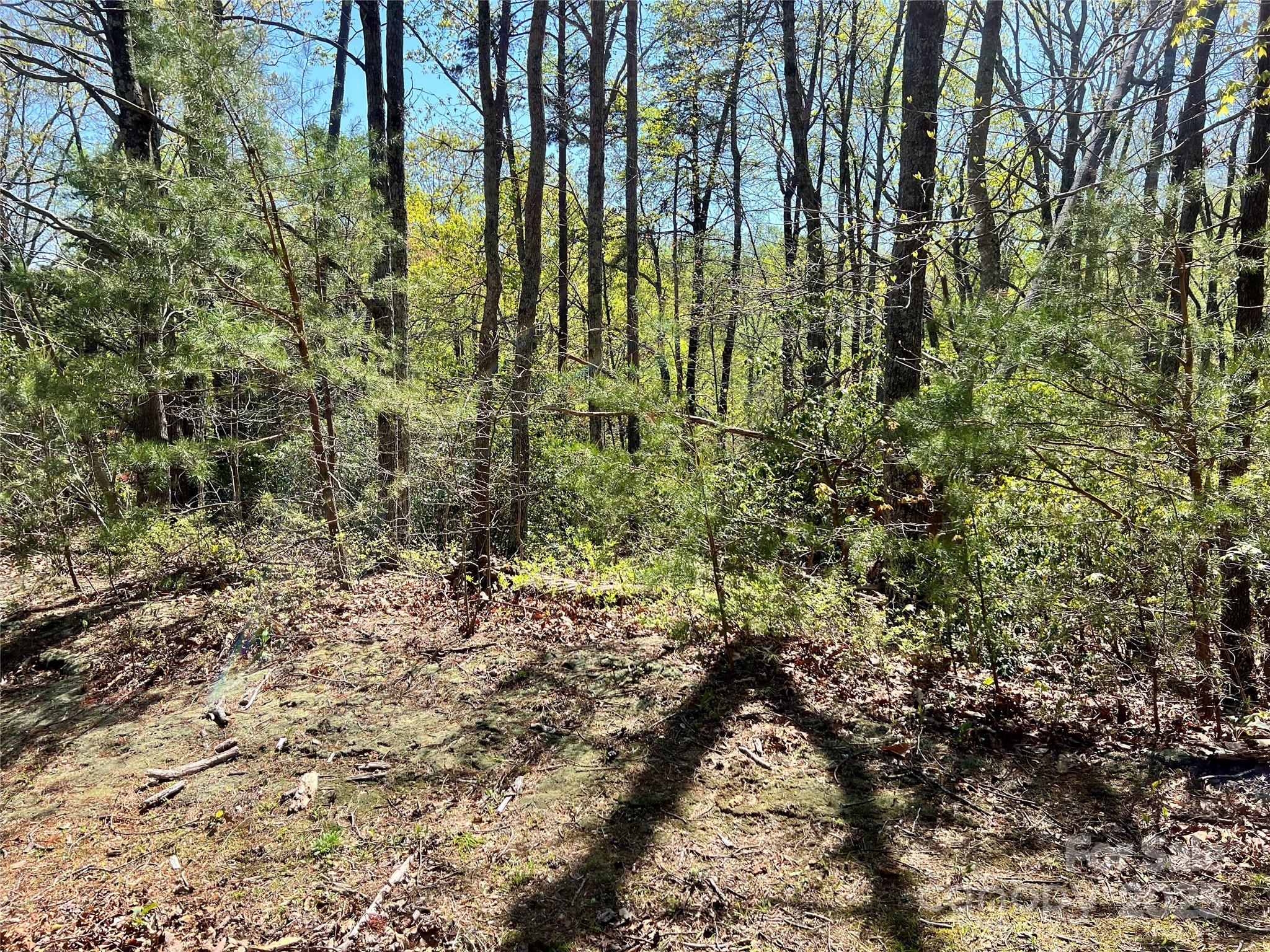 Cliffs Valley - Land