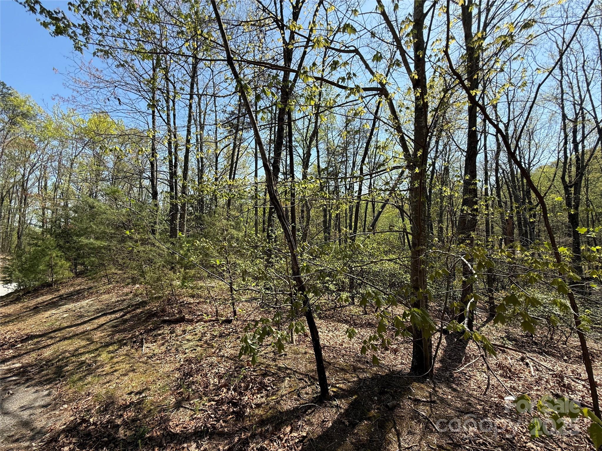 Cliffs Valley - Land