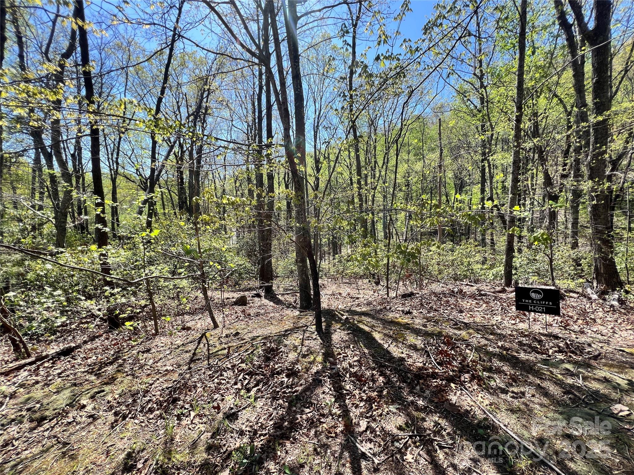 Cliffs Valley - Land