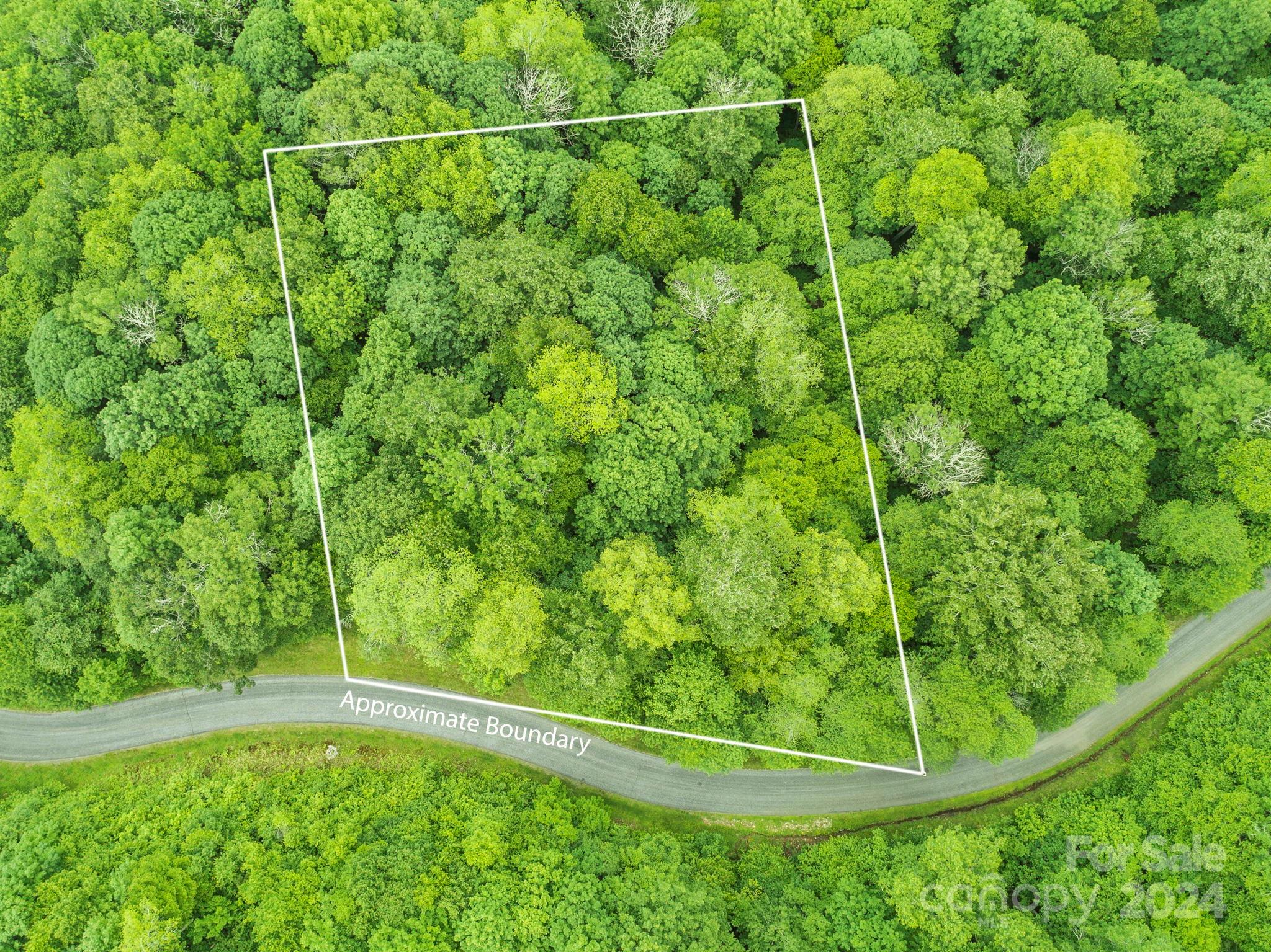 98 Goldenleaf Road 98