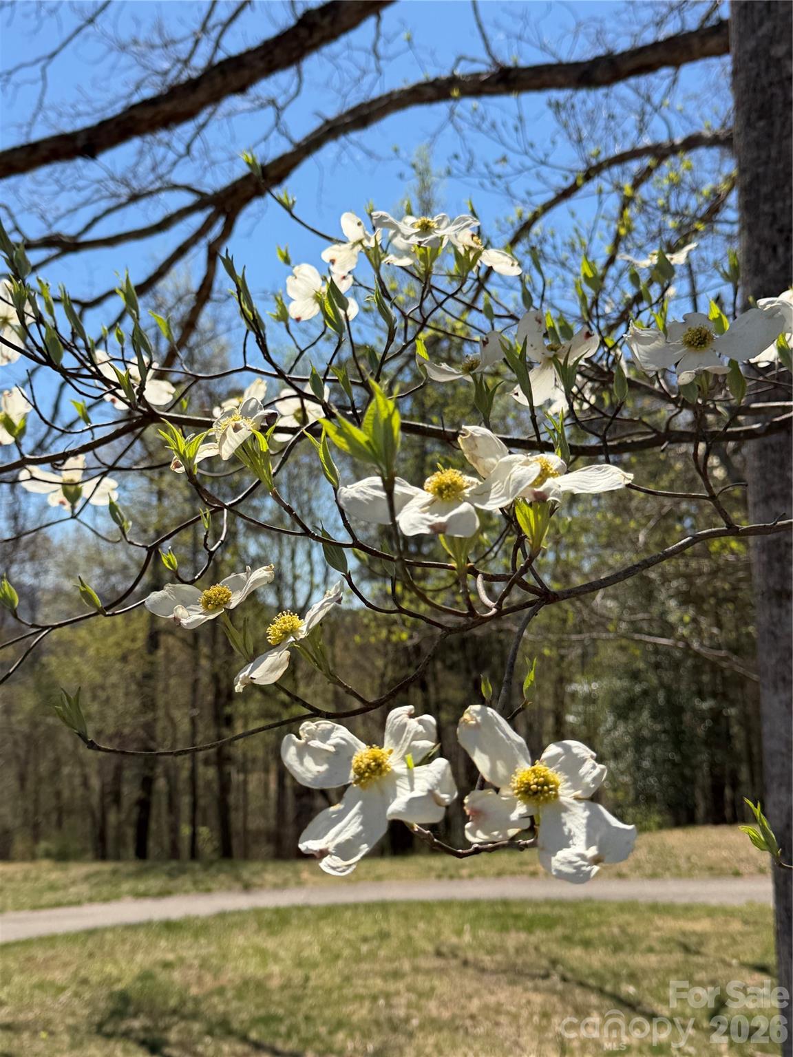 Brights Creek - Land