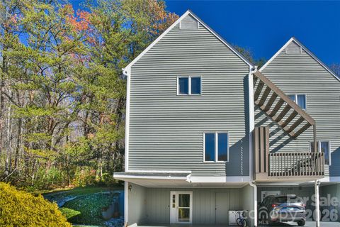 1 Lynx Drive C-1 Black Mountain NC 28711