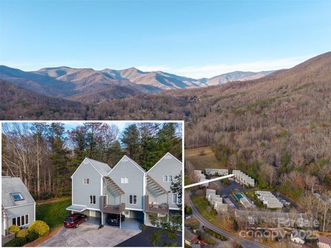 1 Lynx Drive C-1 Black Mountain NC 28711