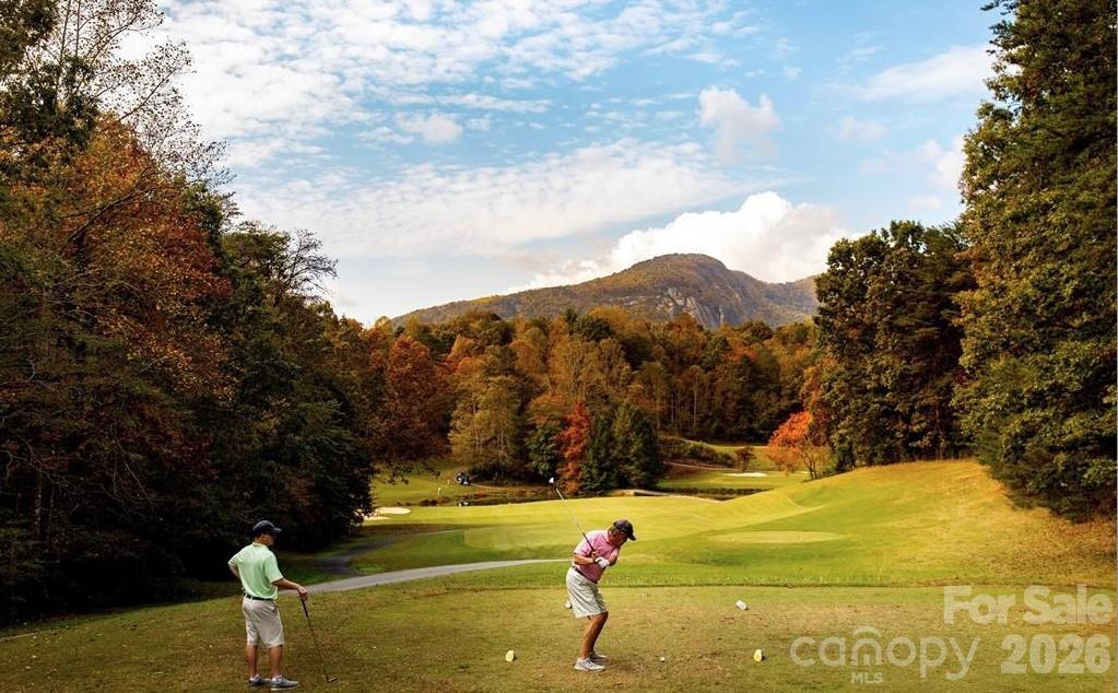 Rumbling Bald on Lake Lure - Residential
