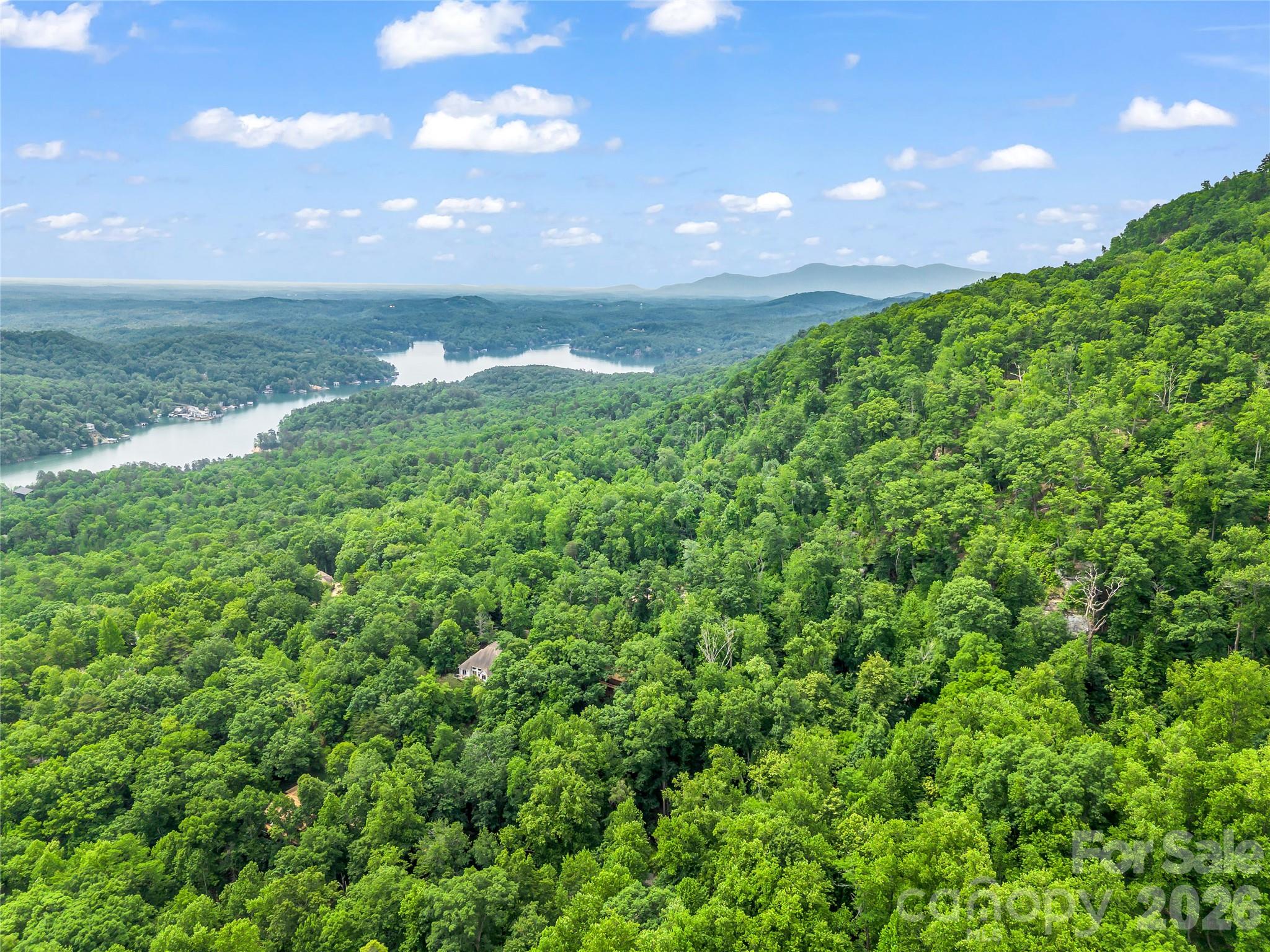 Rumbling Bald on Lake Lure - Residential
