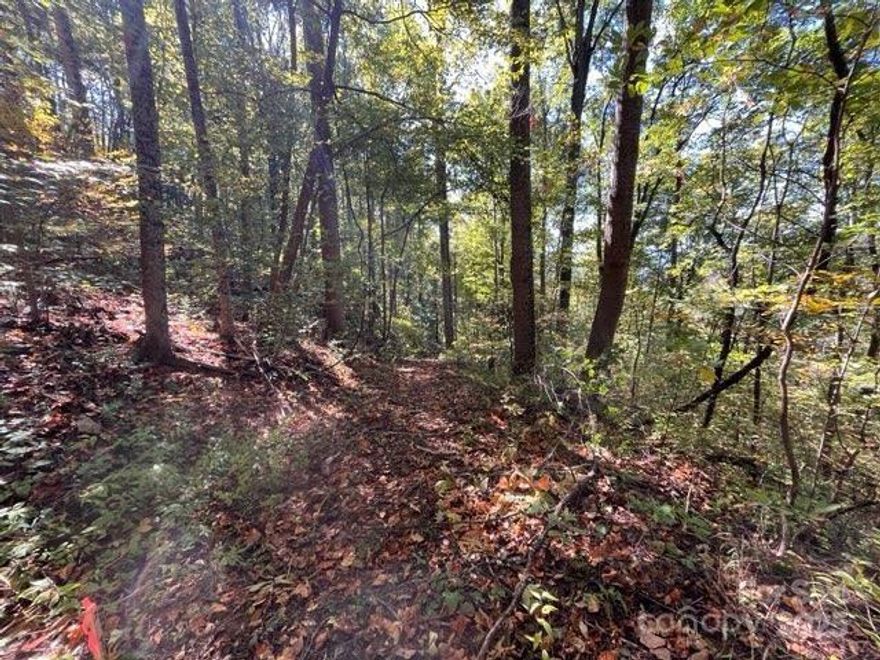 Discover 38+ acres of open-use land in the heart of Reems Creek Valley—ready for your vision! Enjoy peaceful seclusion just 10 minutes from downtown Weaverville and 20 minutes from Asheville. Build your dream home, private estate, or explore subdivision potential. With some selective clearing, this property could reveal beautiful mountain views. Three deeded easements provide ingress, egress, and utility access. A rare opportunity to own expansive acreage in a highly desirable location!