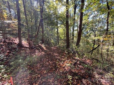 Photo of 99999 Moody Cove Road, Weaverville, NC 28787 (MLS # 4313593)