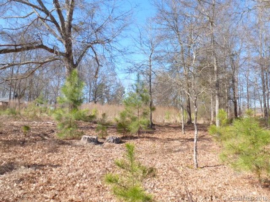 Great location to build you dream home, .59 acre lot. County water and sewer available for hook up at road for a fee.
