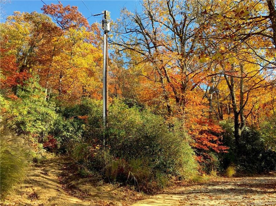 Multiple sites for second homes, RV's or Tiny Home/Cabins. The Shumont area is ideal for buyers seeking a tranquil, natural setting with EZ access to a state maintained paved road. Just a short distance from Chimney Rock which features quaint shops, hiking and nature programs at Chimney Rock Park. For water lovers, Lake Lure, featured in National Geographic as one of the top 10 most beautiful lakes in the USA is nearby. Enjoy boating, swimming and lovely community events and festivals.