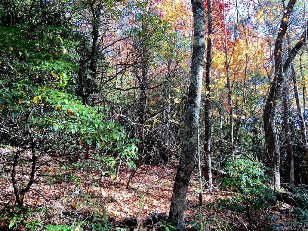 Shumont Properties - Land