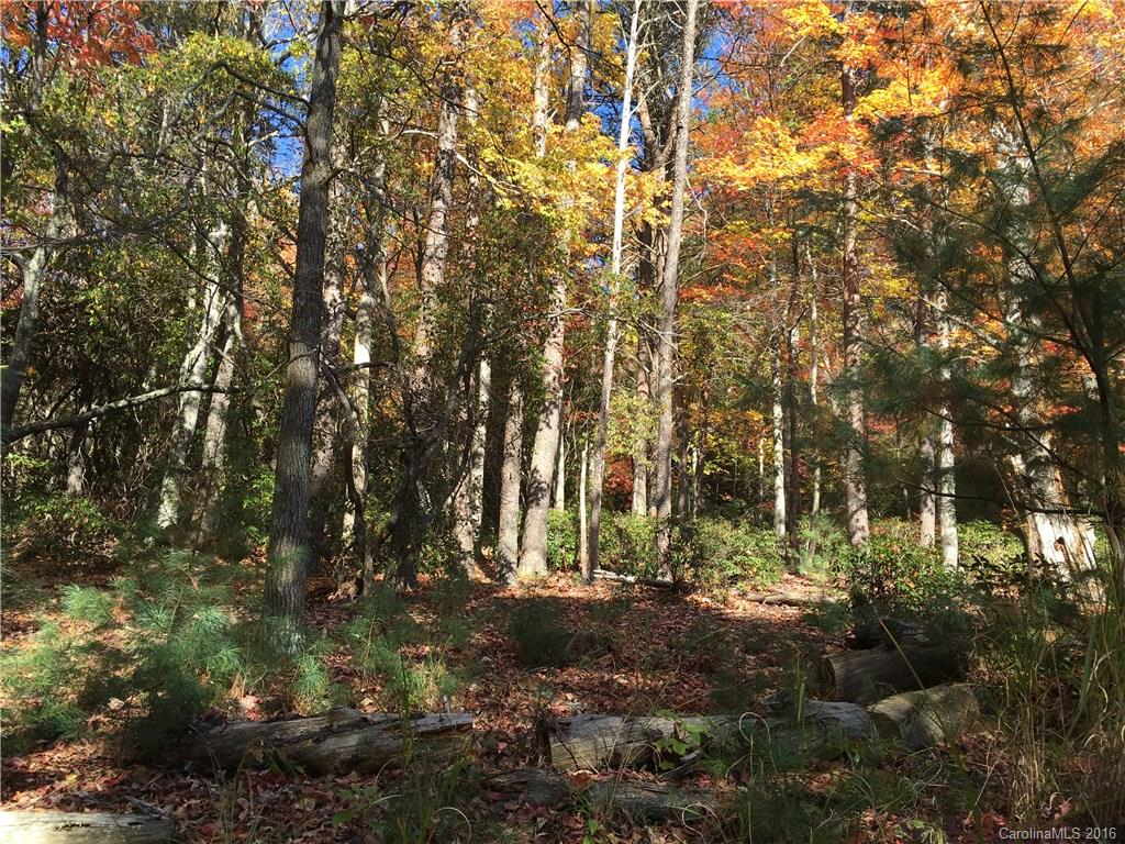 Shumont Properties - Land