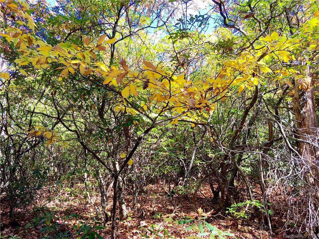 Shumont Properties - Land