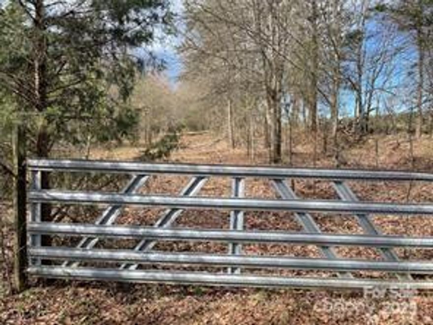 25 acres wooded with some cleared area.