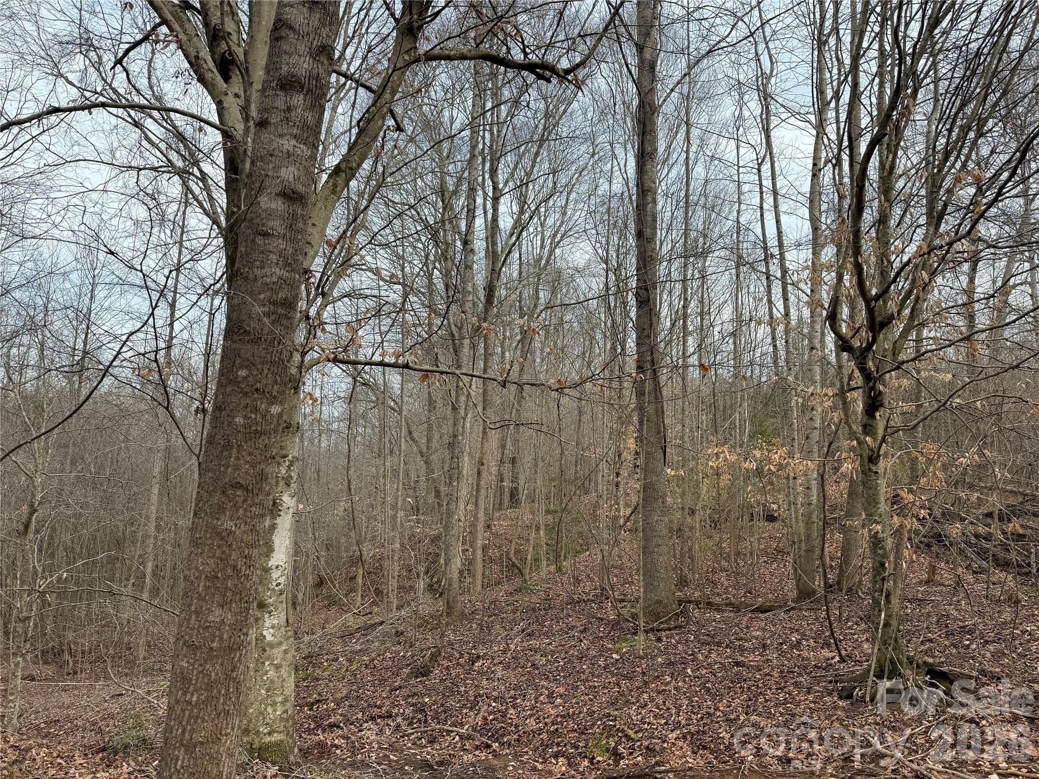 3465 Highway 92 None