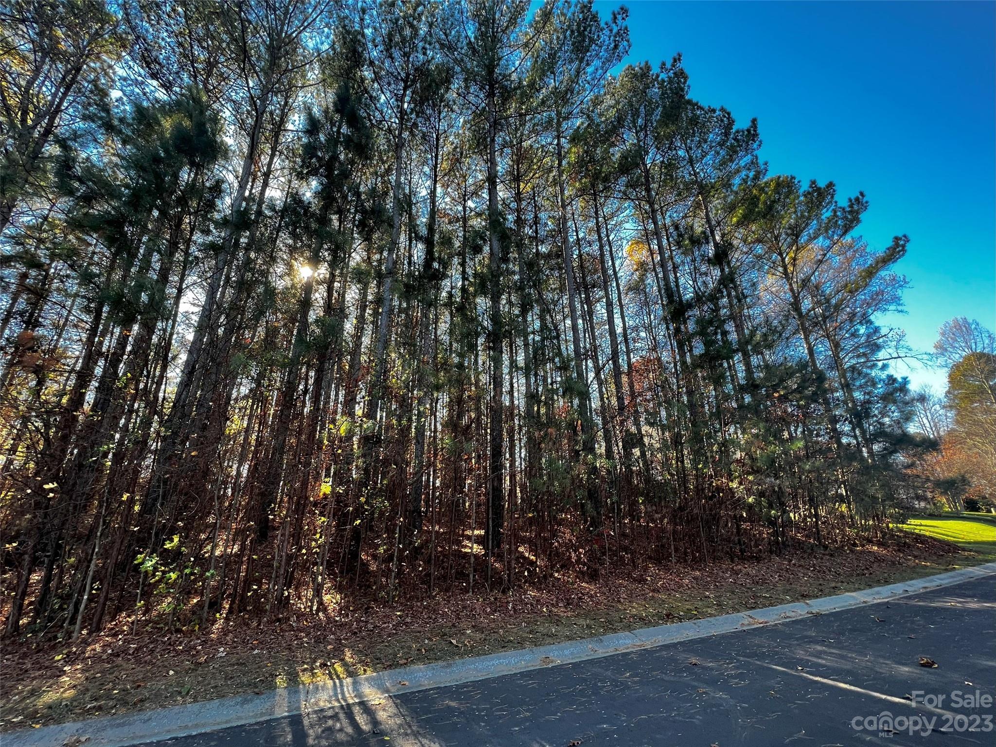 129 Sleepy Cove Trail 5