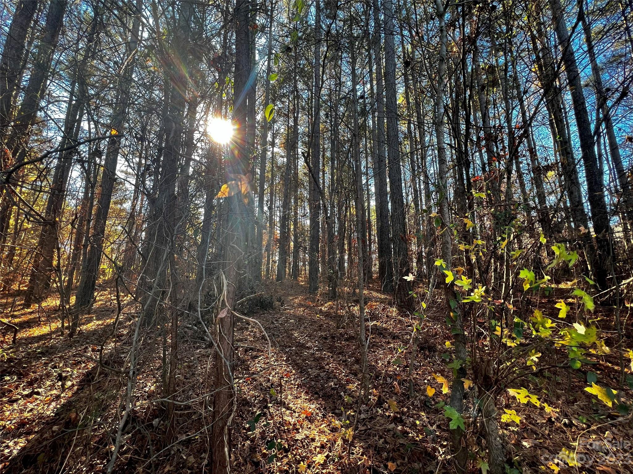 129 Sleepy Cove Trail 5