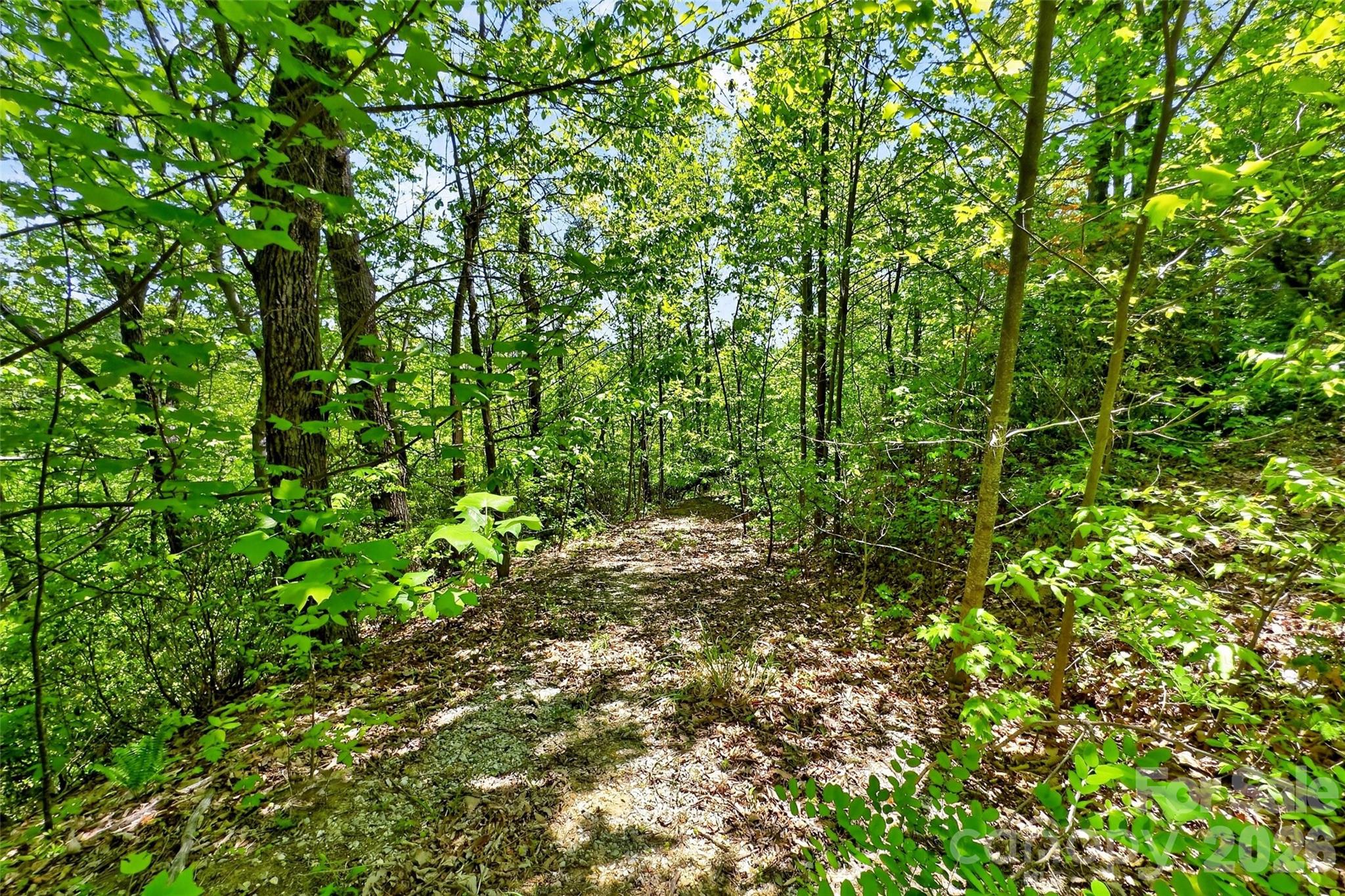 Gateway Mountain - Land