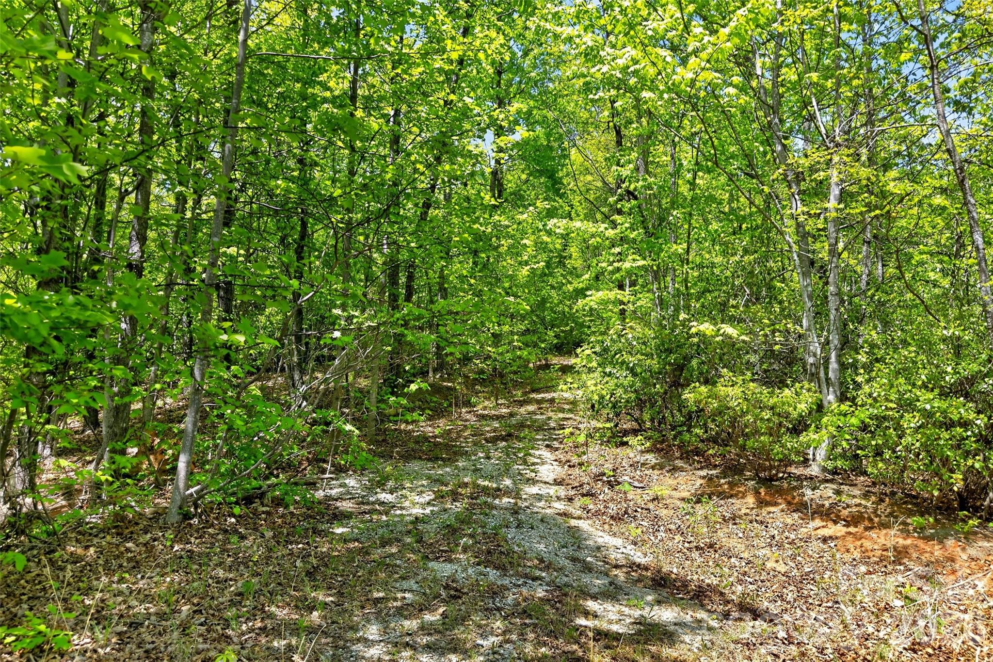 Gateway Mountain - Land