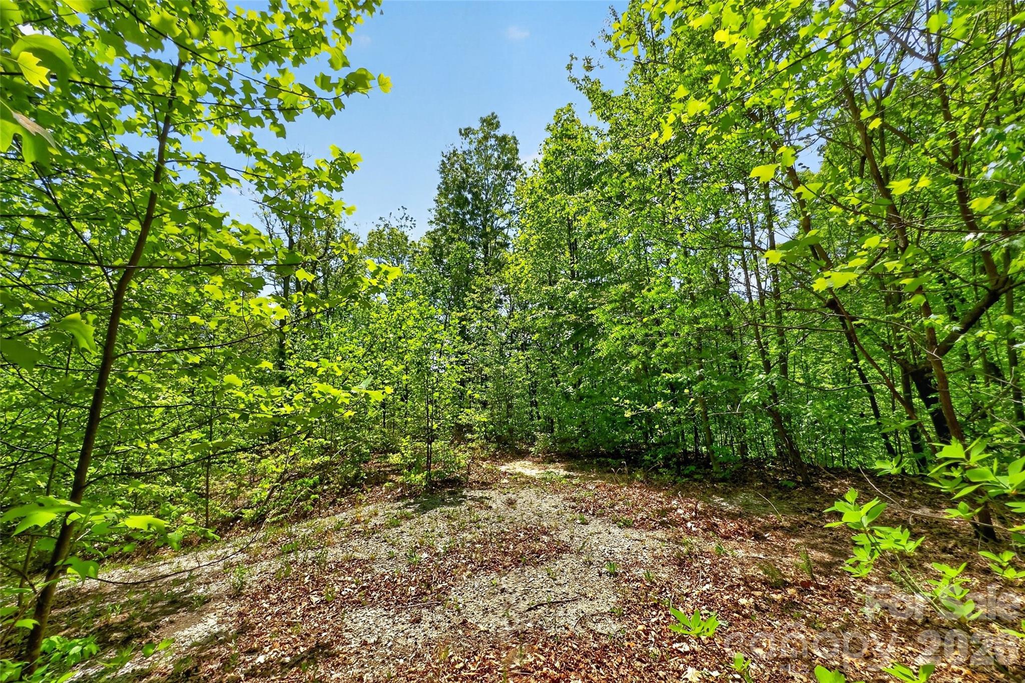 0 Bobcat Drive 741