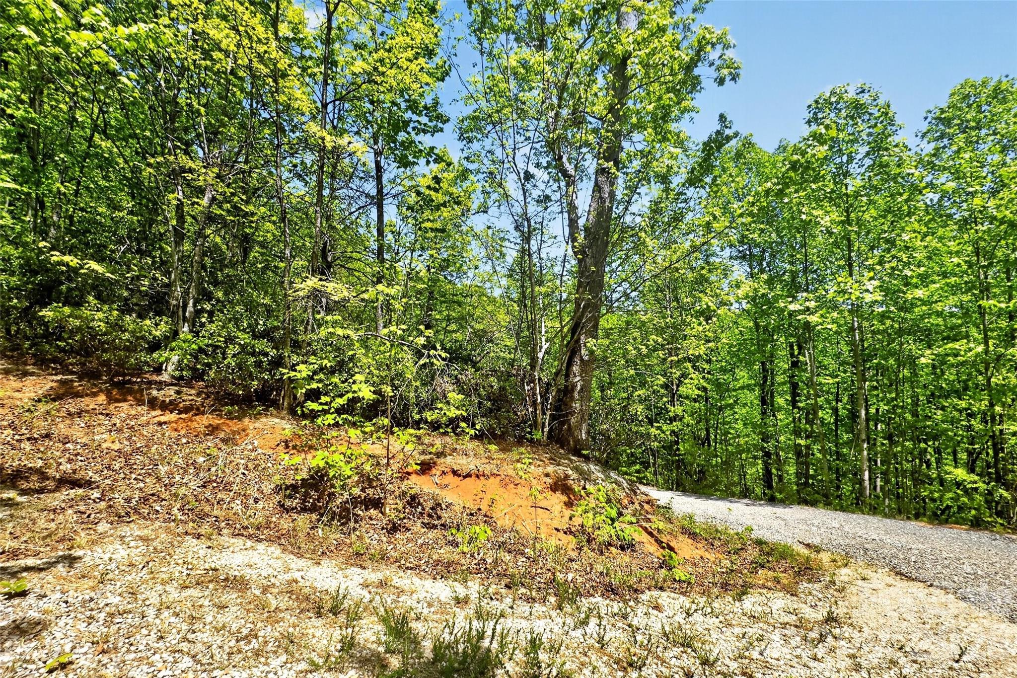 Gateway Mountain - Land