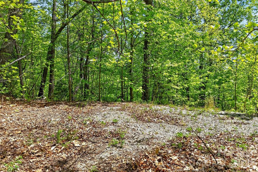 3.41 acres inside Gateway Mountain—located at the end of Bobcat Drive for ultimate privacy and peace. This beautiful lot offers the potential for year-round mountain views with some clearing and already features a large, level homesite ready for your build.

Gateway Mountain is a gated community with exceptional amenities, including Lake George and Waterfall Park. Lake George features a floating dock, small beach, and picnic area—perfect for swimming, fishing, and non-motorized boating. Waterfall Park offers both upper and lower falls, with the lower falls providing a refreshing spot to cool off on warm summer days. A scenic wooded trail connects the two parks.

Enjoy miles of community roads ideal for walking, running, or cycling. Conveniently located just minutes from Old Fort, a rapidly growing outdoor recreation destination, and a short drive to Asheville, Black Mountain, and other popular areas.

This homesite is ready for your vision, with a large, level pad already in place. Well and septic will be needed. Schedule your tour today!