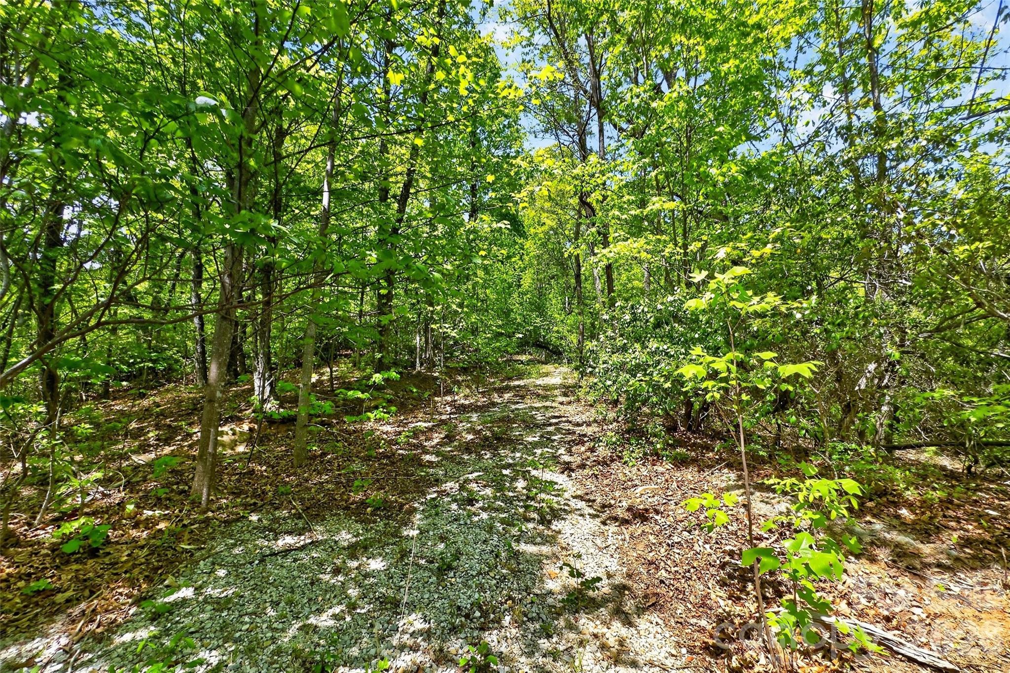 Gateway Mountain - Land