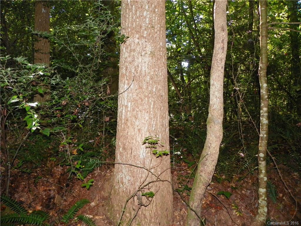 Clarendon Estates - Land