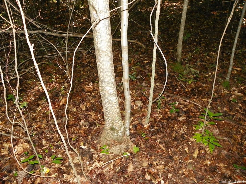 Clarendon Estates - Land