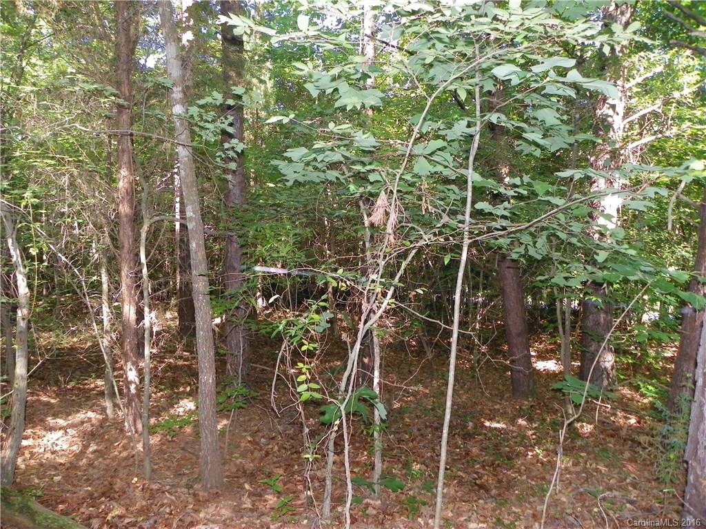 Clarendon Estates - Land