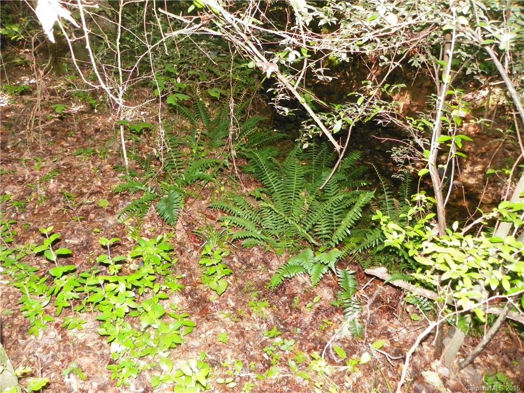 Clarendon Estates - Land