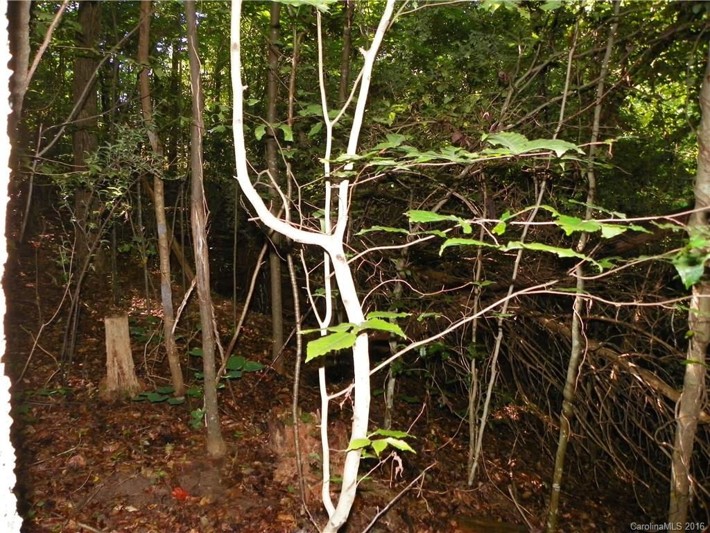 Clarendon Estates - Land