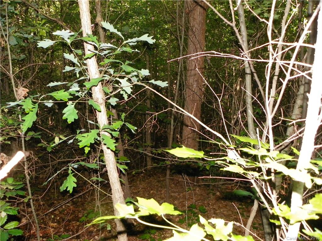 Clarendon Estates - Land