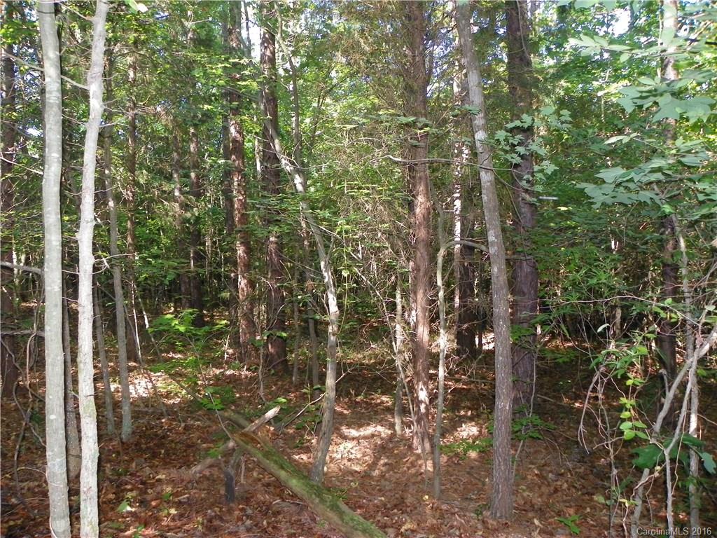 Clarendon Estates - Land