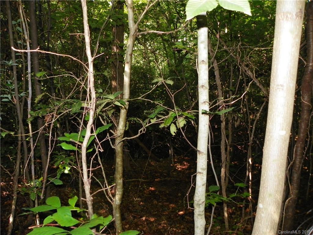 Clarendon Estates - Land