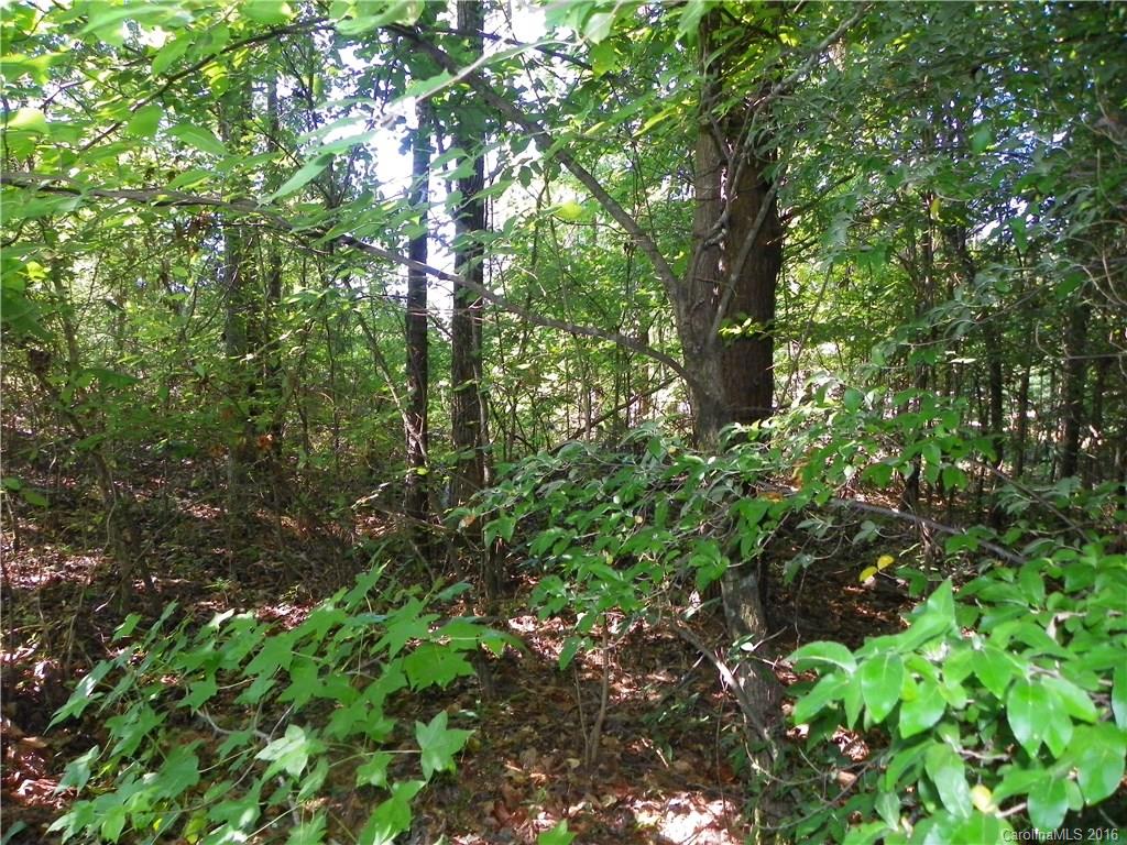 Clarendon Estates - Land