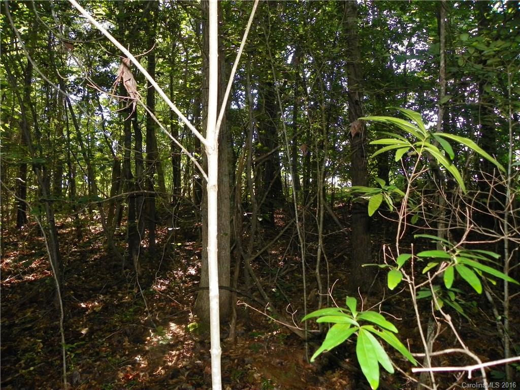 Clarendon Estates - Land